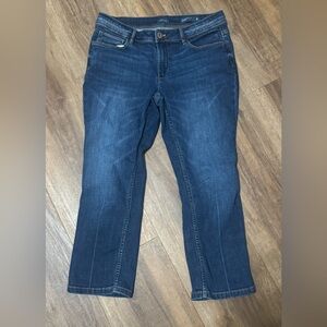 J. Jill Demi Boot Cut Jeans Authentic Fit 8P